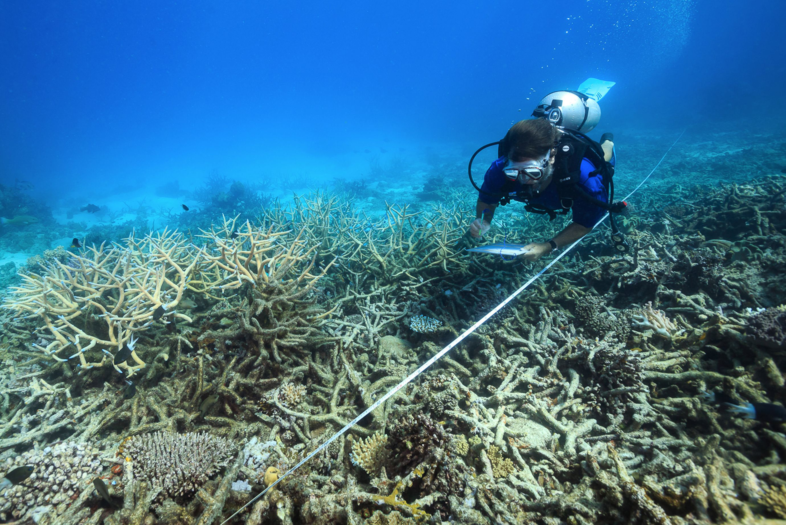 Puede que la única opción para salvar la Gran Barrera de Coral consista en manipular las nubes
