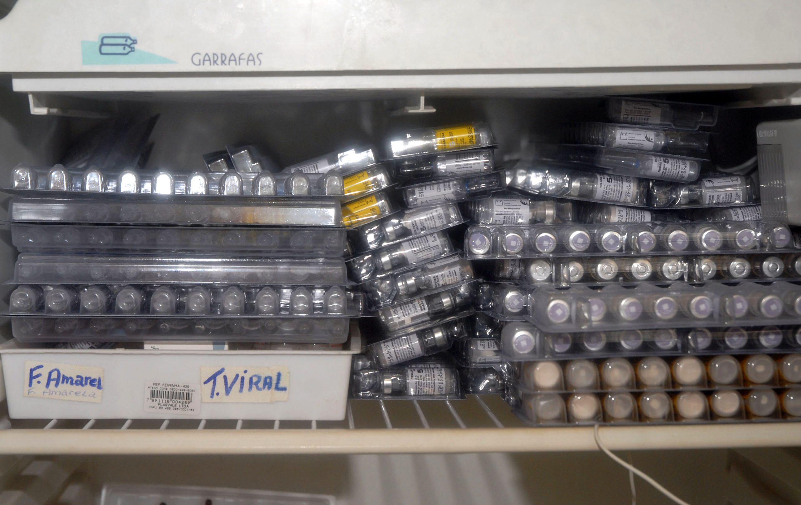 El mosquito del Zika y el dengue amenaza con otra pandemia de fiebre amarilla