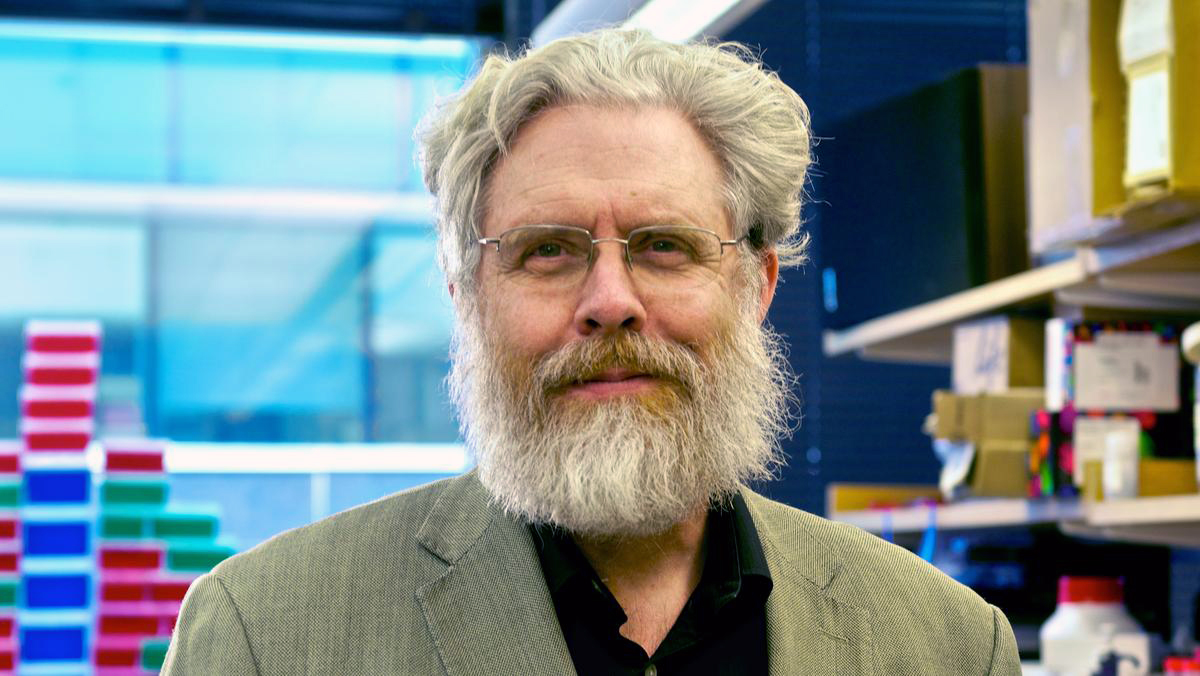 El plan para fabricar un genoma humano artificial obvia toda la ética del asunto