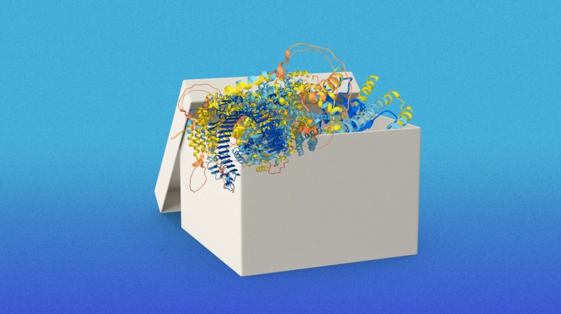 DeepMind ya ha predicho la estructura de casi todas las proteínas conocidas