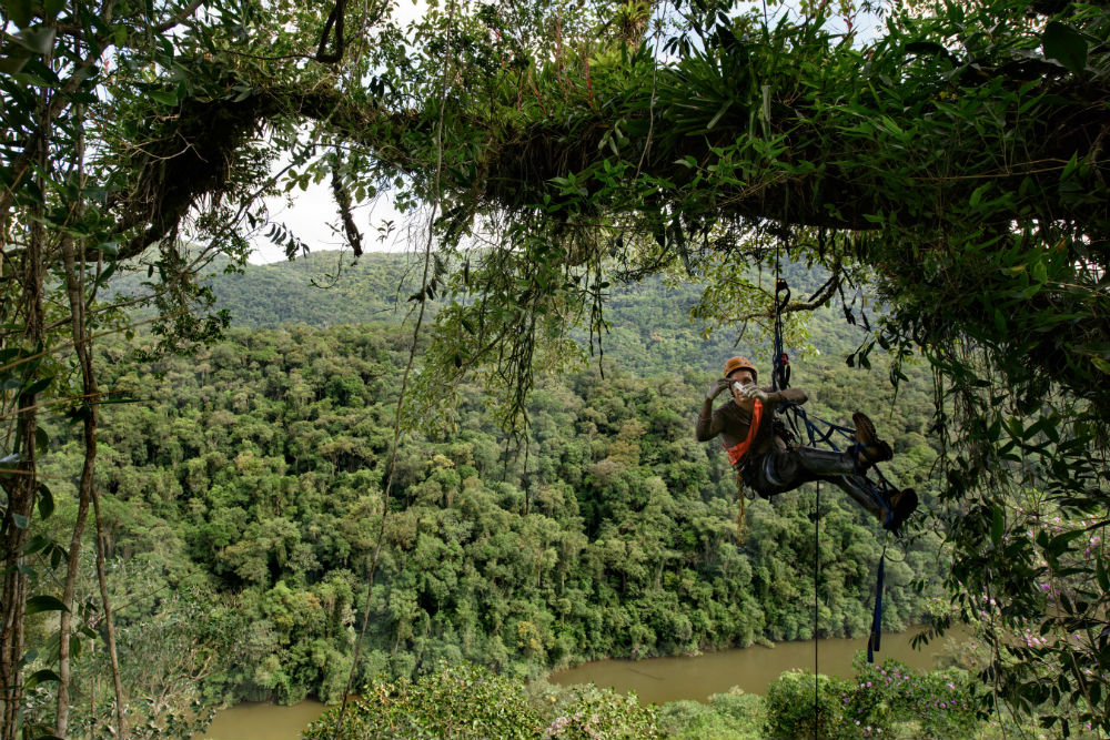 La transformación digital del bosque genera riqueza y favorece la sostenibilidad