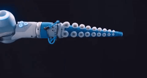 Los tentáculos de pulpo inspiran el robot más hábil para objetos complicados