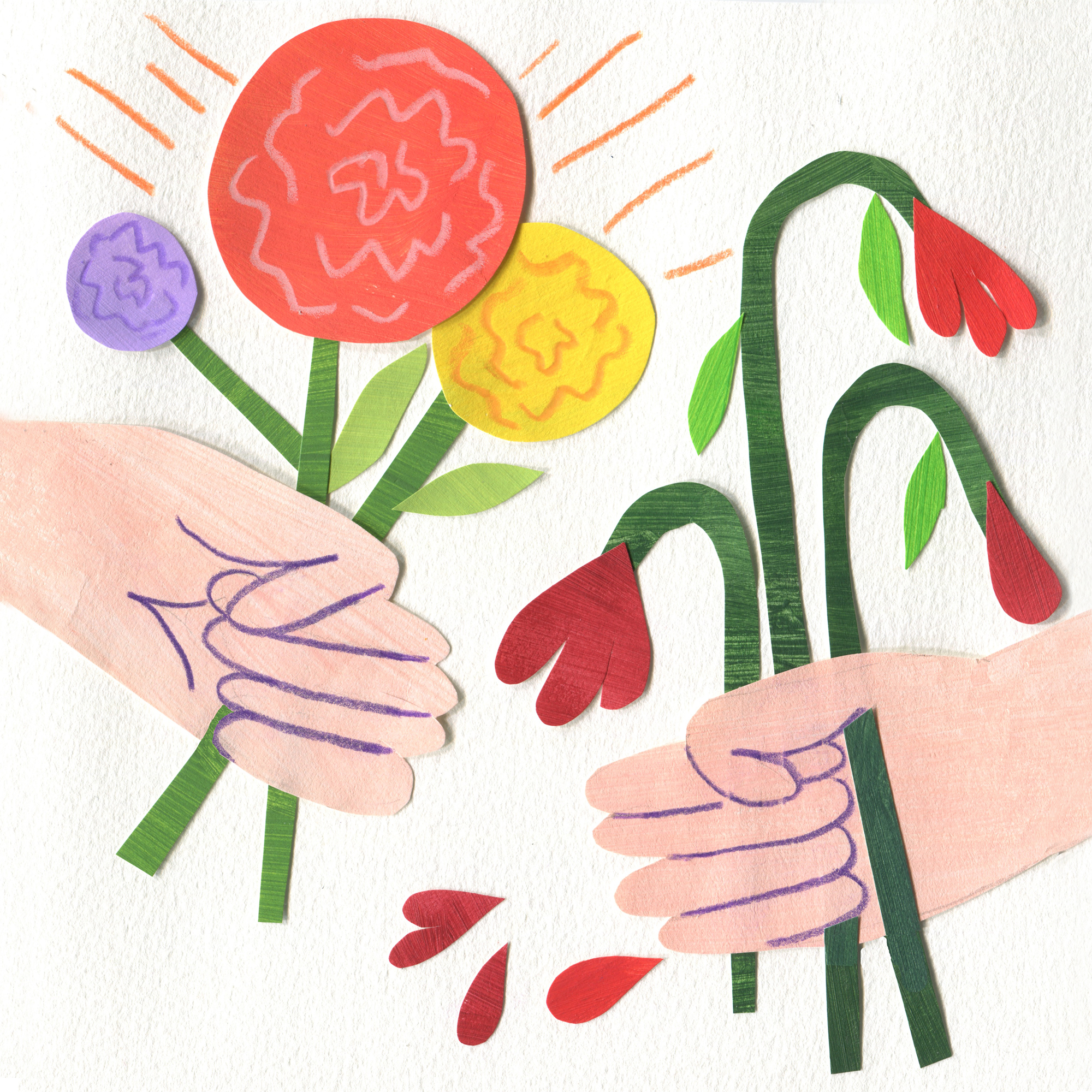 Monsanto quiere patentar una rosa que no se marchita después de cortarla