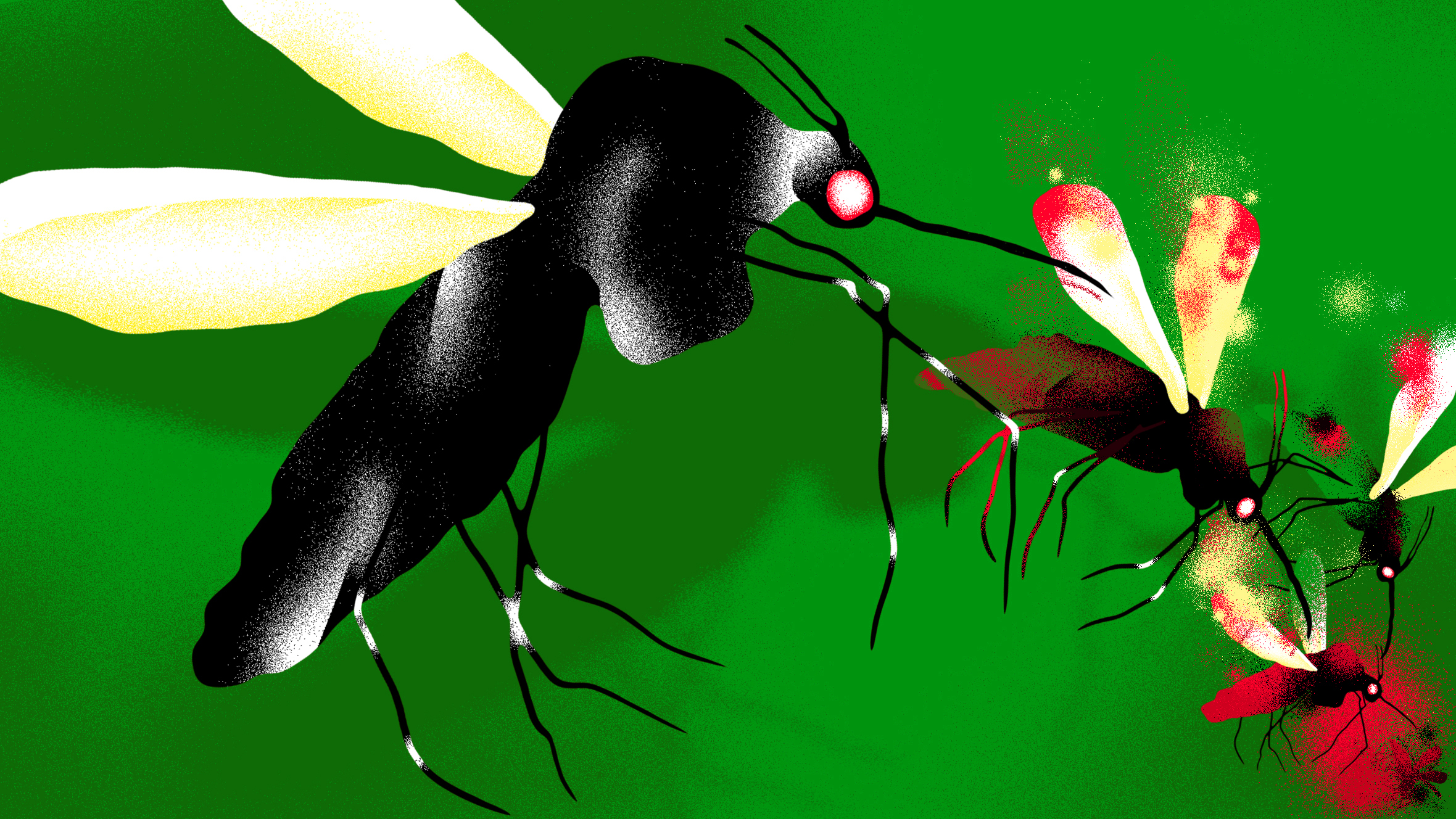 El nuevo proyecto secreto de Google es un 'método anticonceptivo' para mosquitos