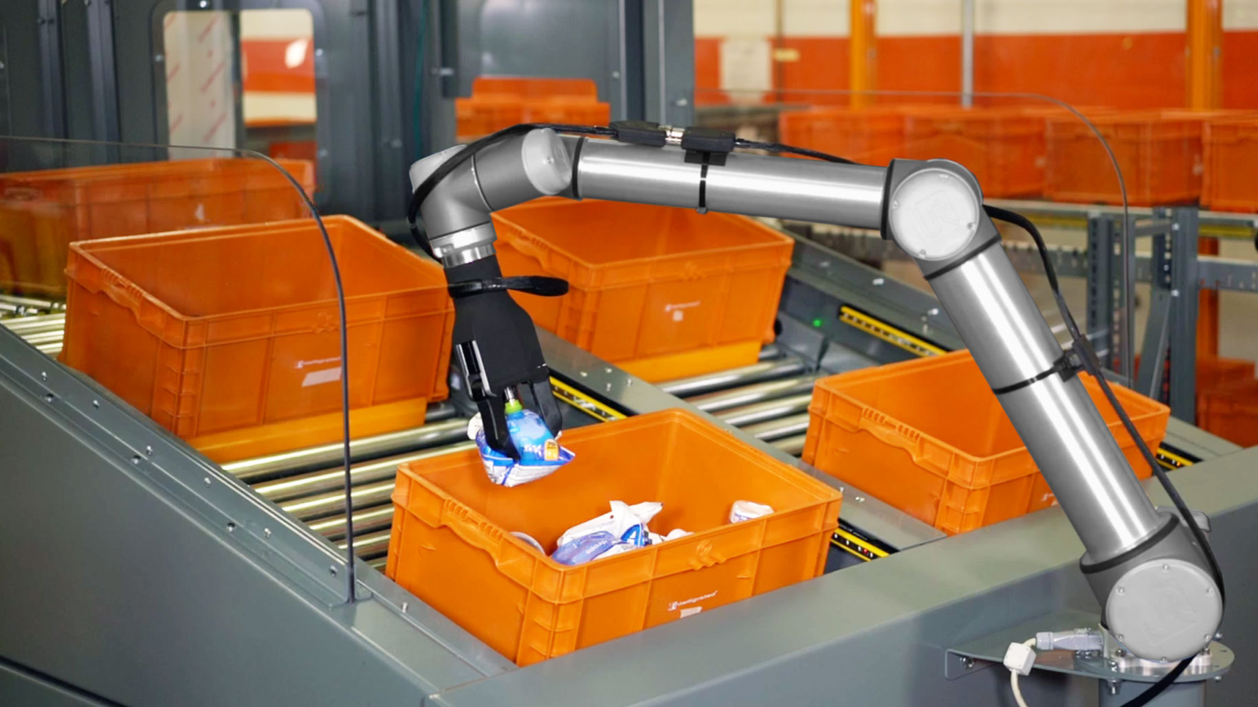 Brazo robótico y cabeza en la nube, el equipo ganador para automatizar pedidos