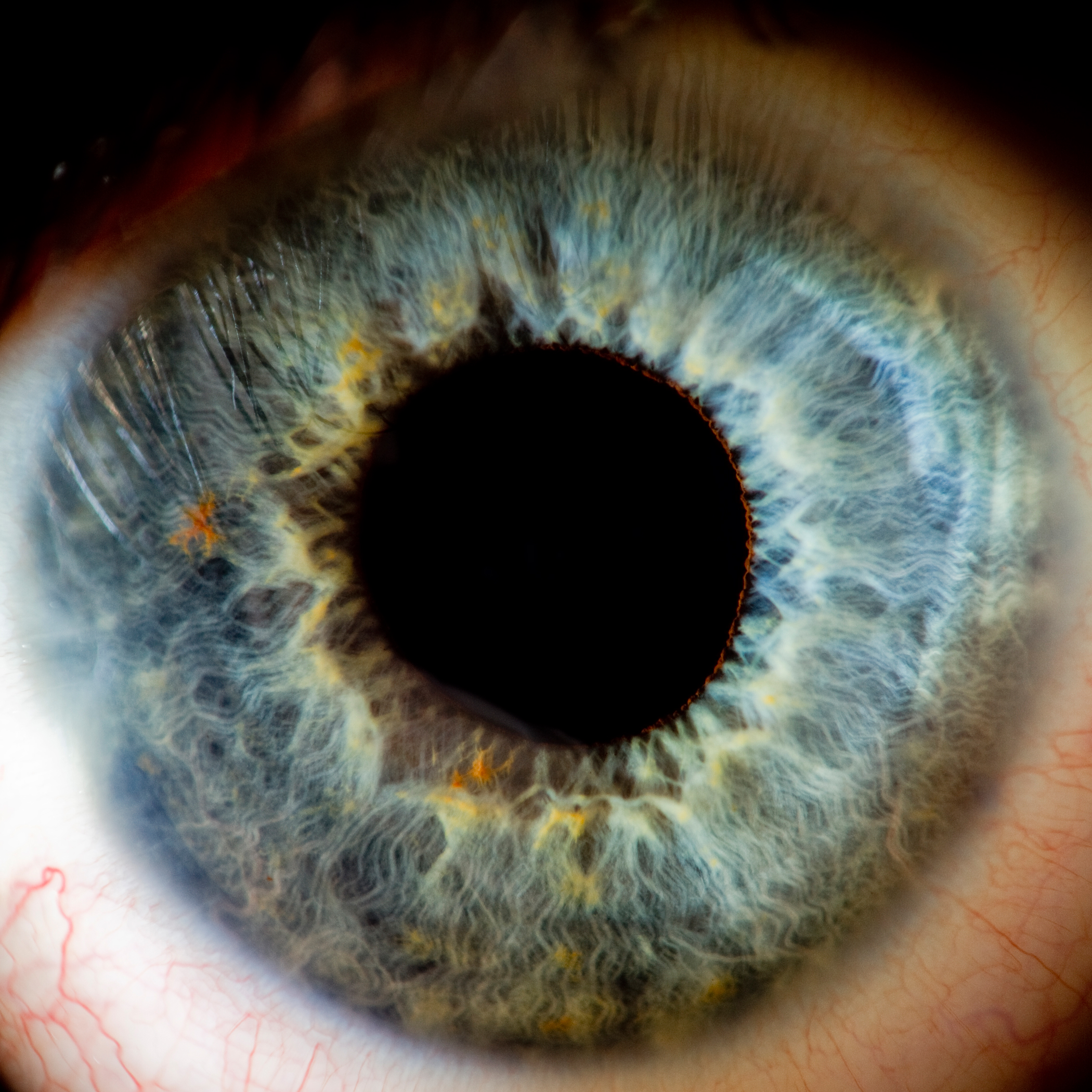 El primer ensayo humano con optogenética podría devolver la vista a ciegos
