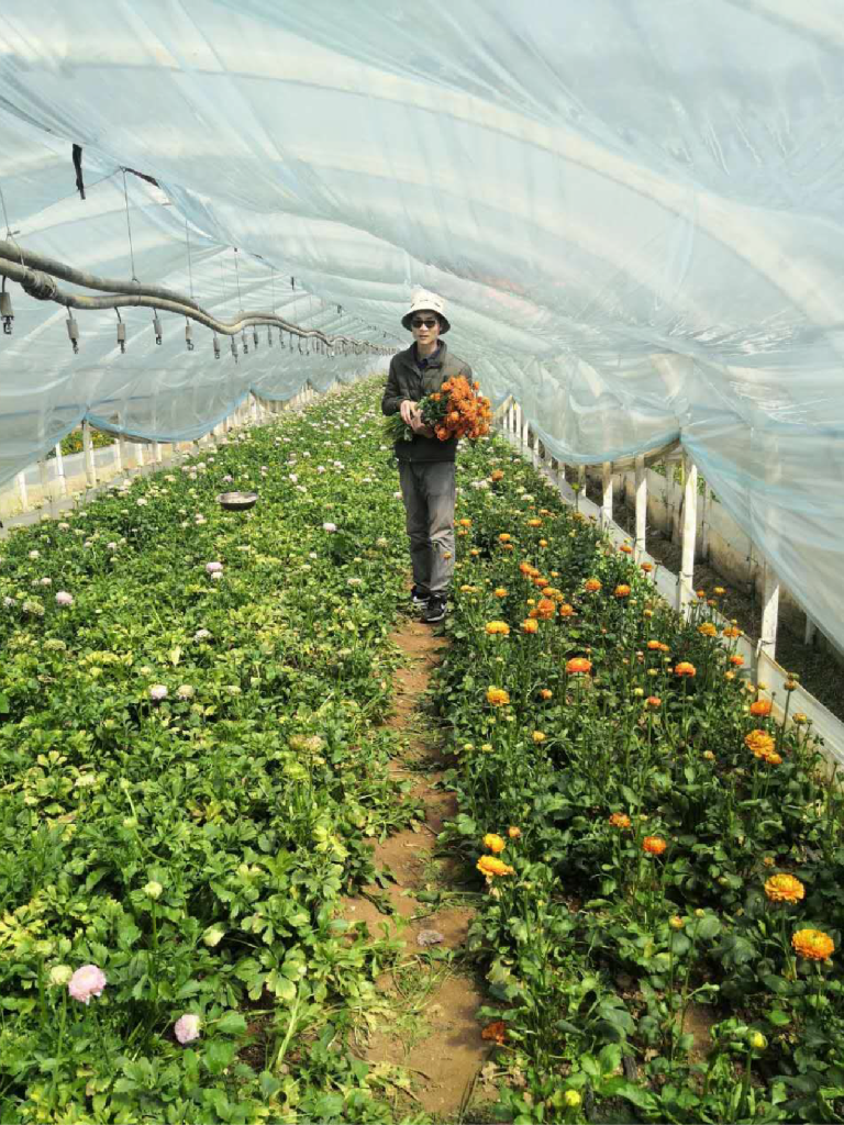 Vídeos en directo y comercio electrónico: la revolución de la agricultura