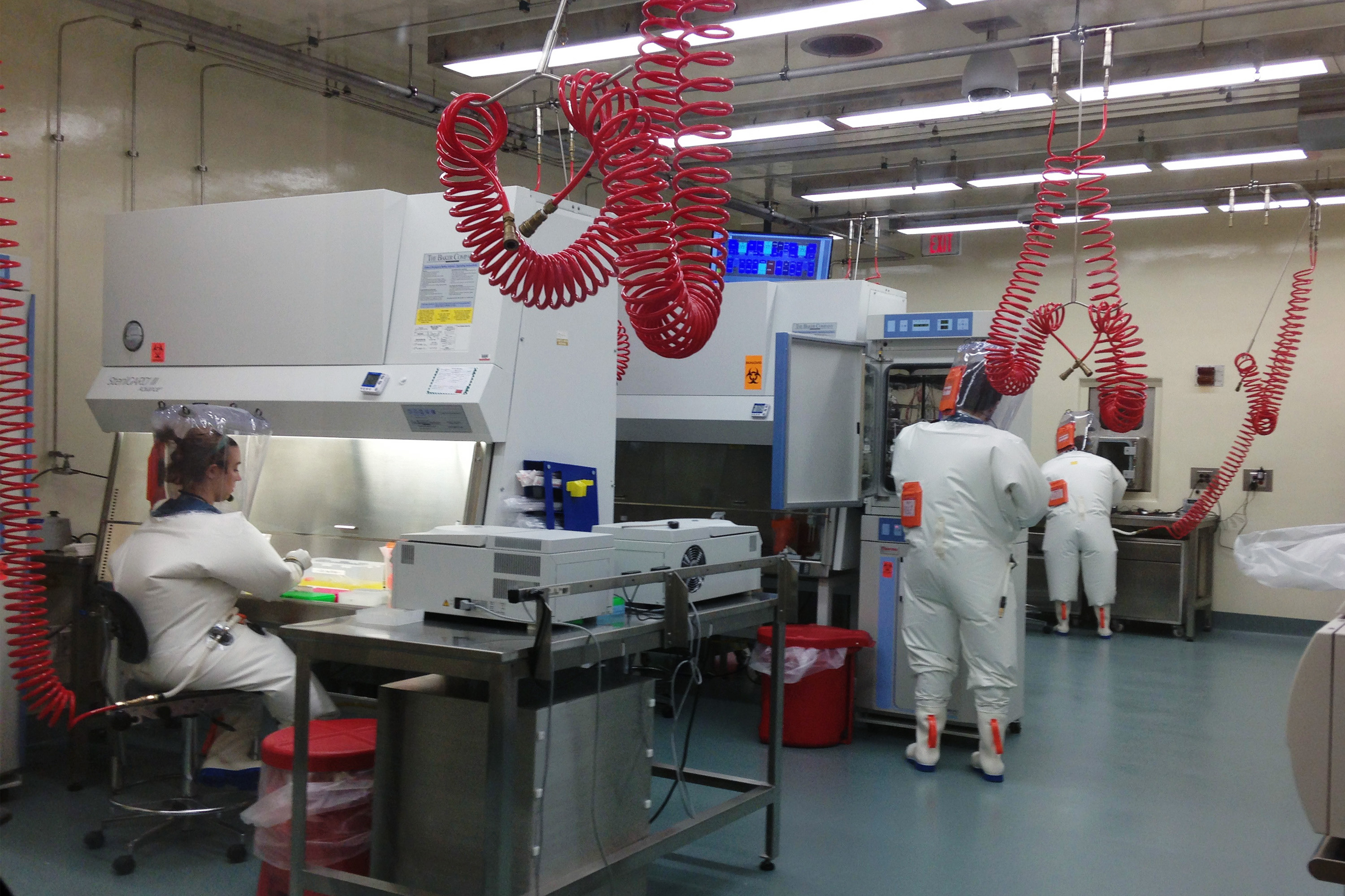 Minipulmones de laboratorio para entender cómo mata el coronavirus