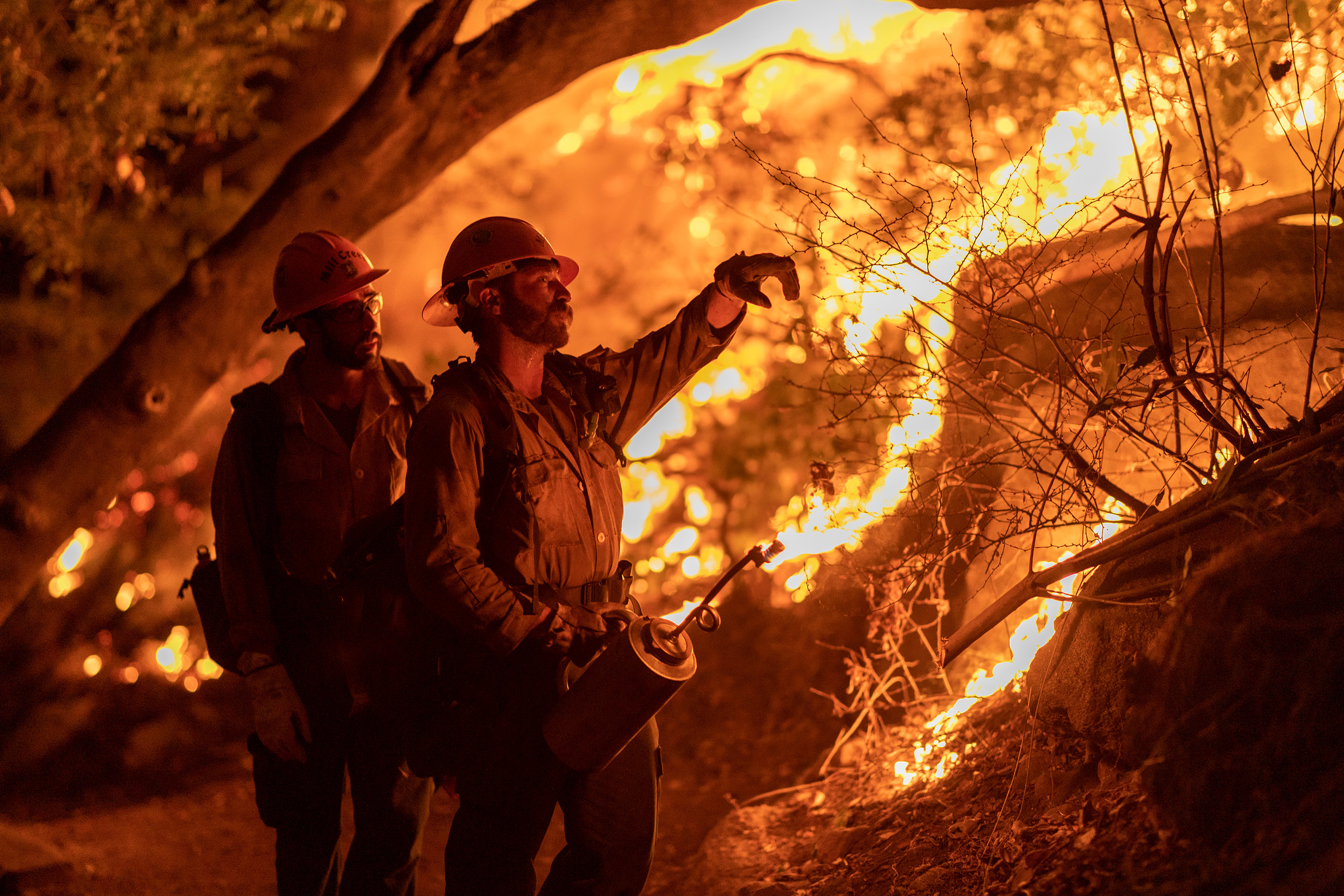 Los incendios de California: cambio climático y un siglo de mala gestión