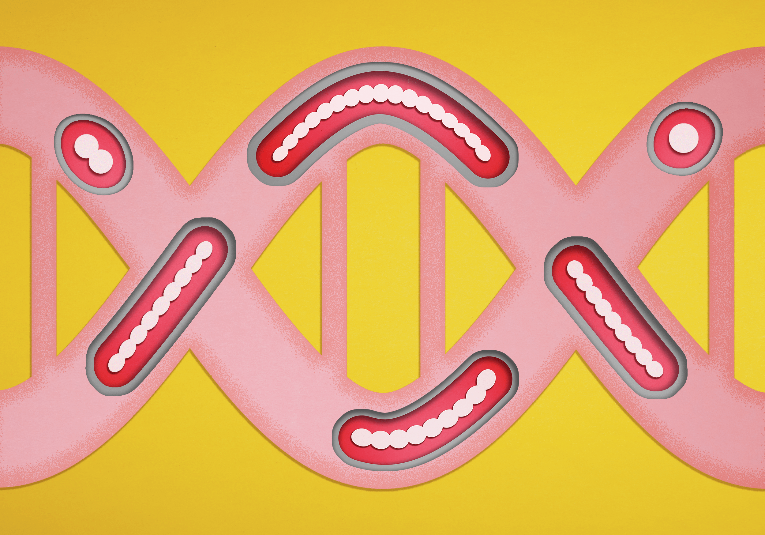 Estos cerdos CRISPR podrían ayudarnos a evitar futuras pandemias