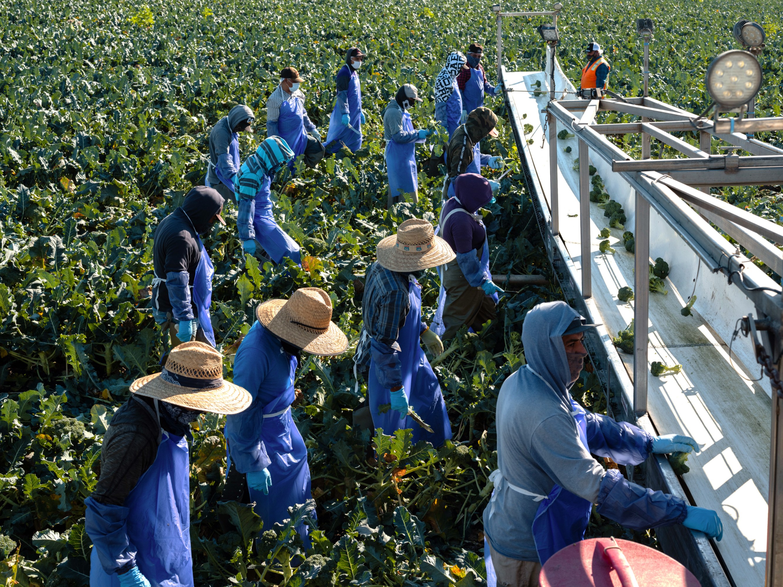 La tecnología aún intenta cumplir su promesa de renovar la agricultura
