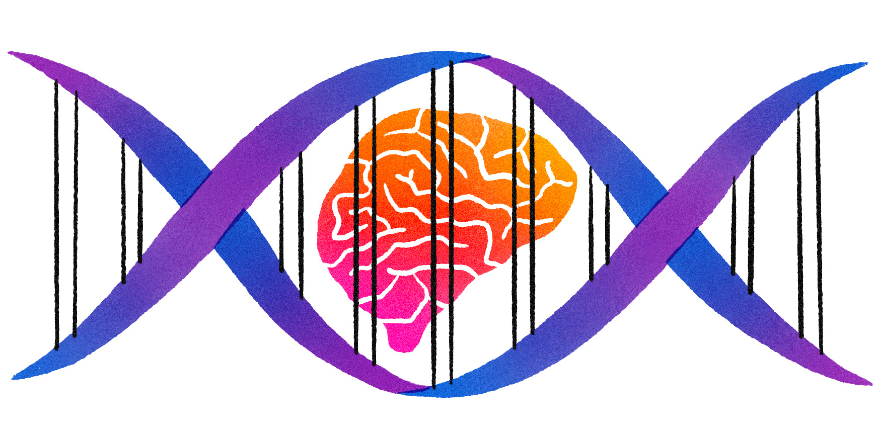 Las ocho grandes áreas de investigación para descifrar el cerebro