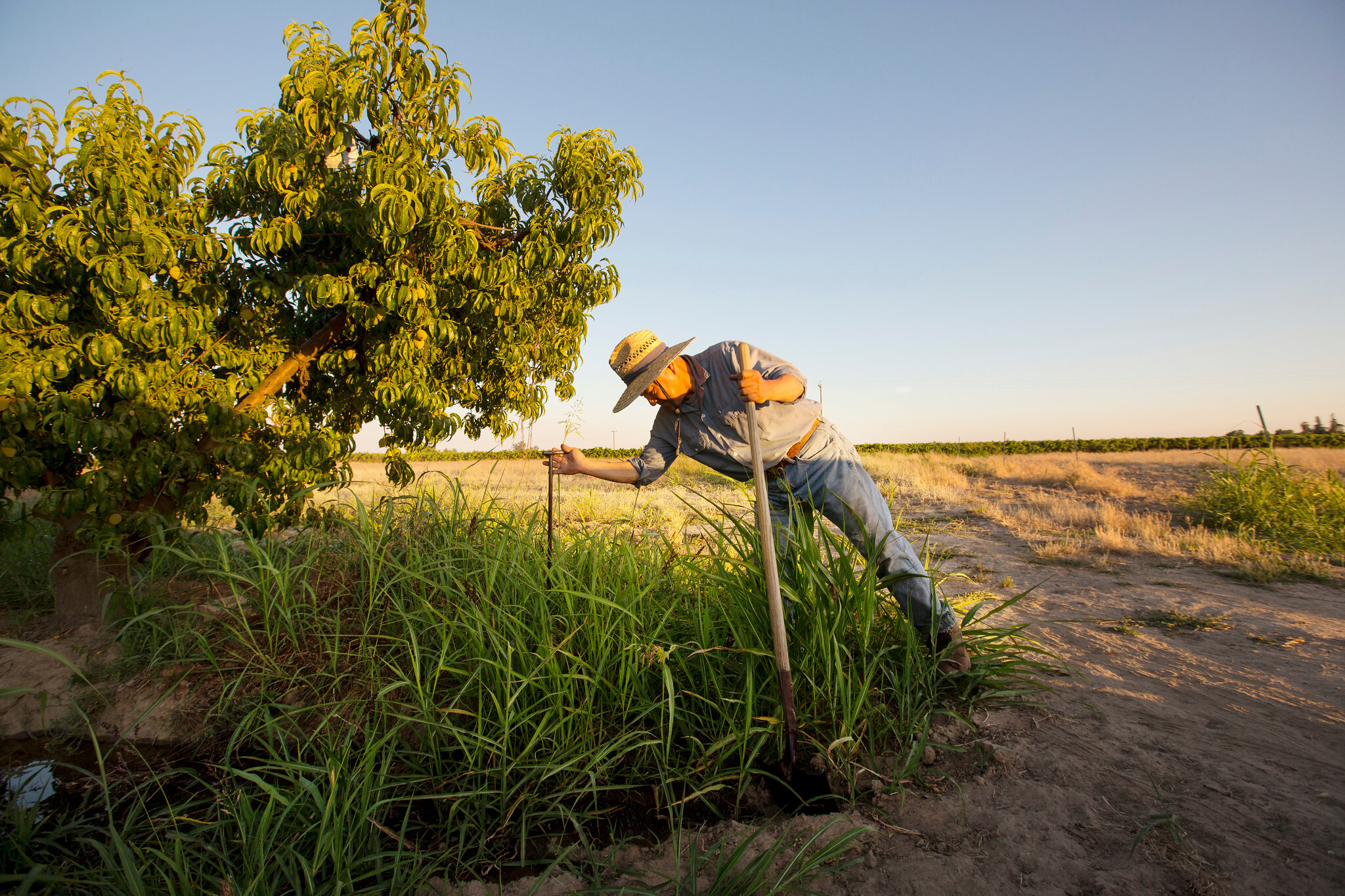 Fiebre del oro, agricultura y cambio climático: así secamos California
