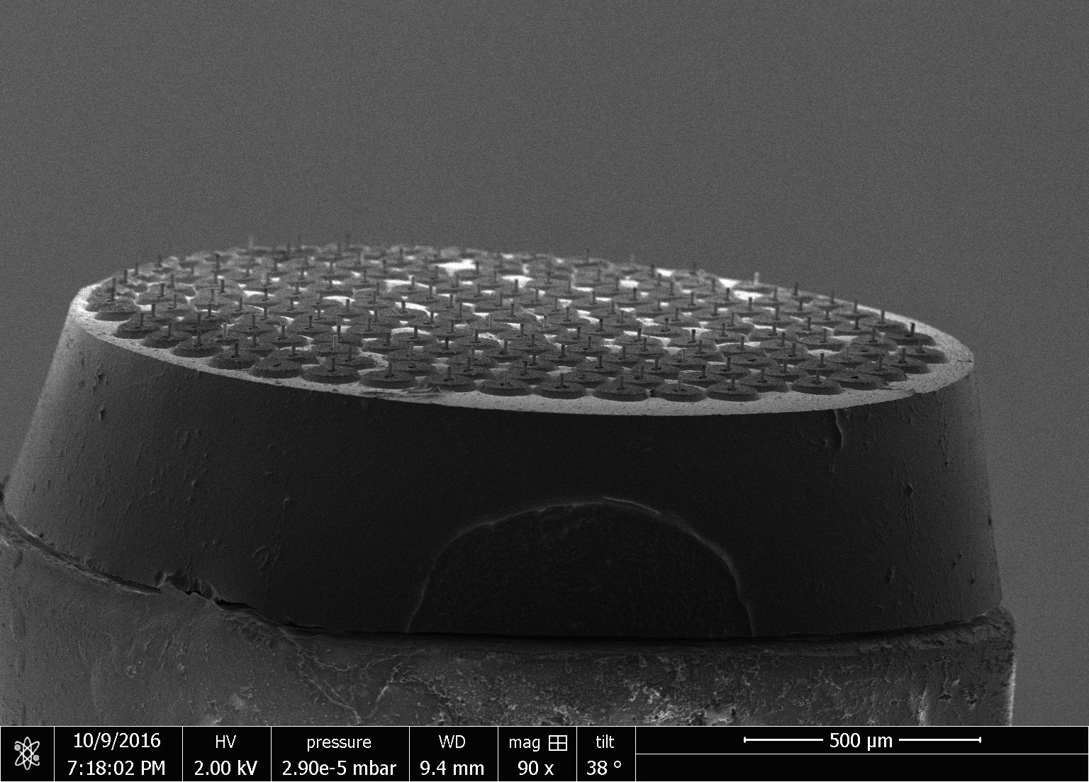 Este 'cepillo' de microalambres intentará devolver a la gente los sentidos perdidos