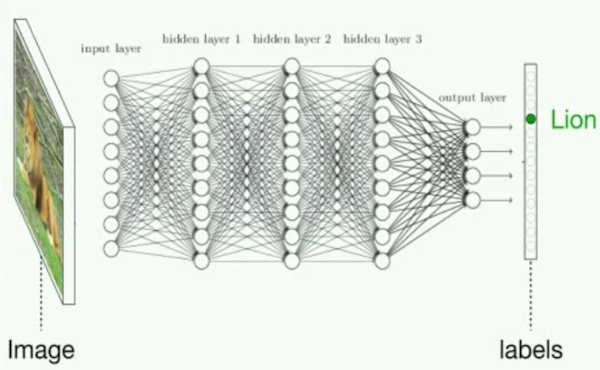 Cómo crear redes neuronales 10 veces más pequeñas e igual de eficaces