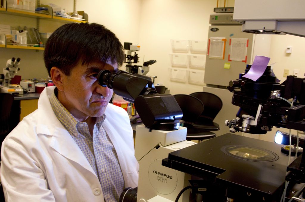 El debate de usar CRISPR en embriones: seguridad contra progreso