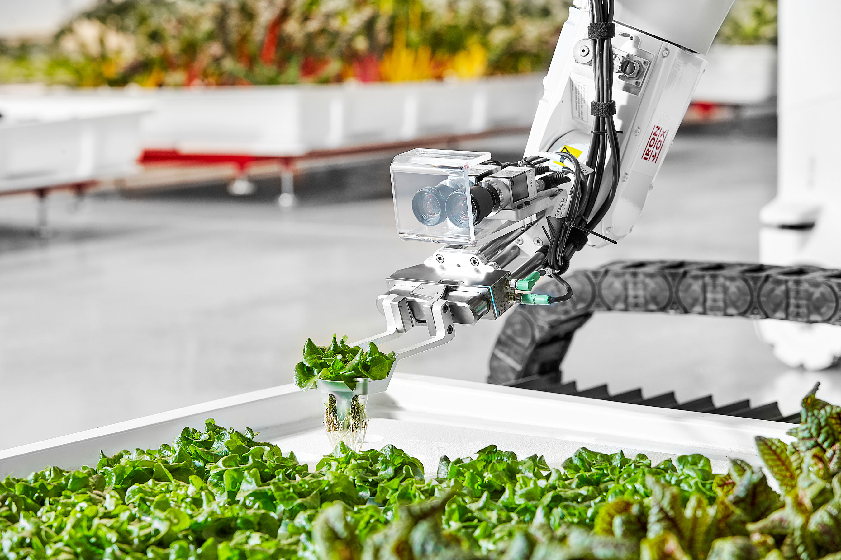 Agricultura 100 % robótica para resolver los dos grandes retos del sector