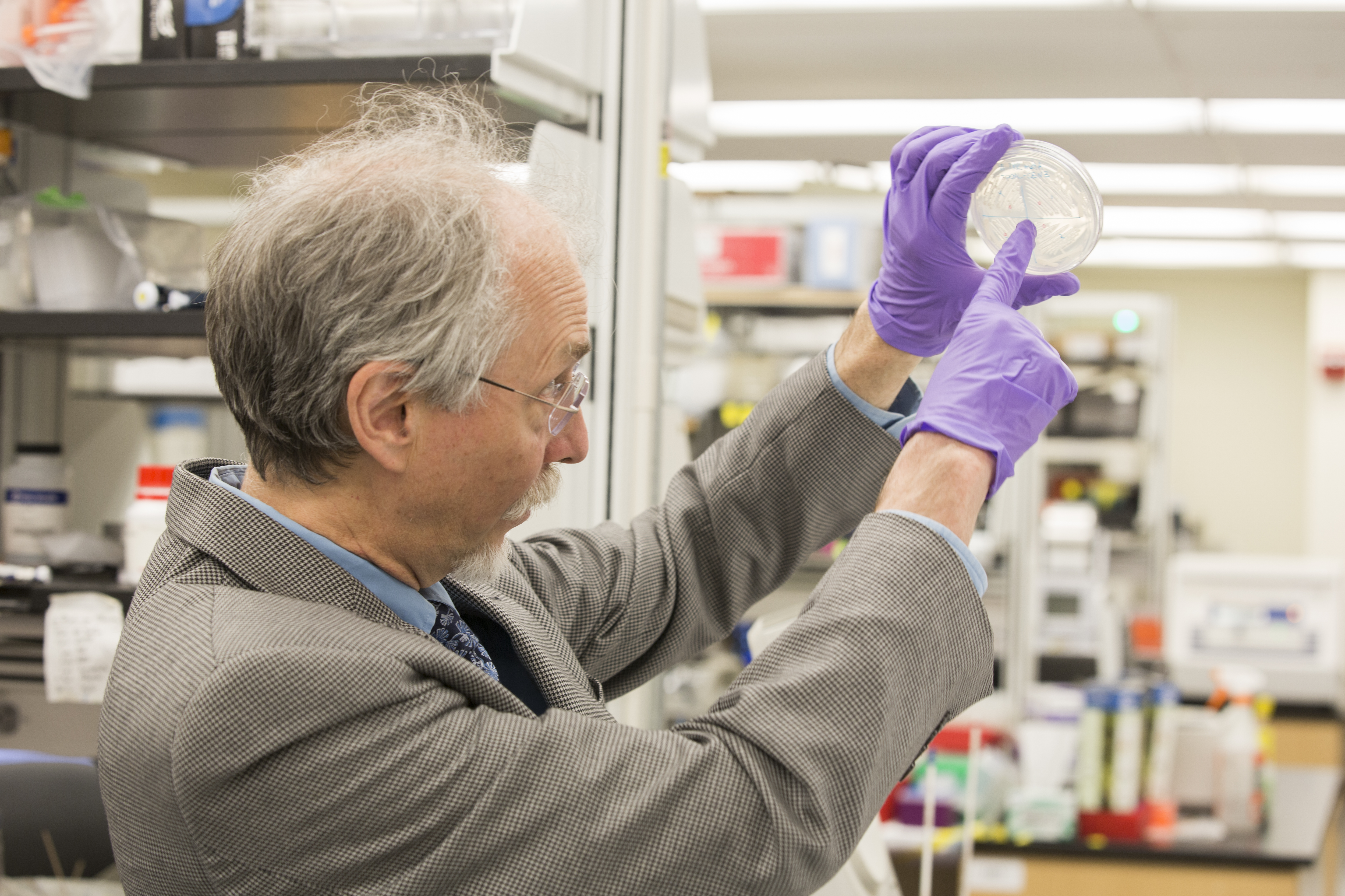 La importancia de la levadura sintética para el futuro de la humanidad