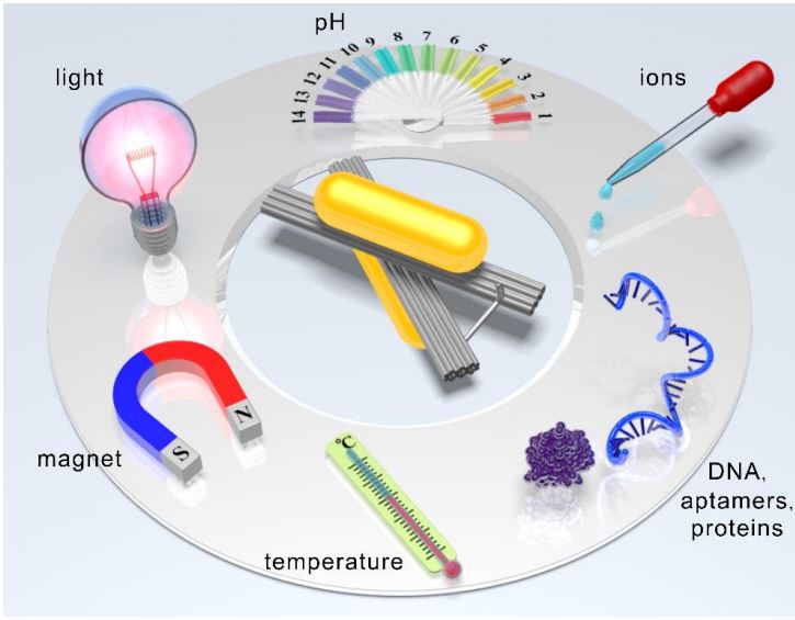 ADN y nanopartículas metálicas manipulan la luz de formas imposibles