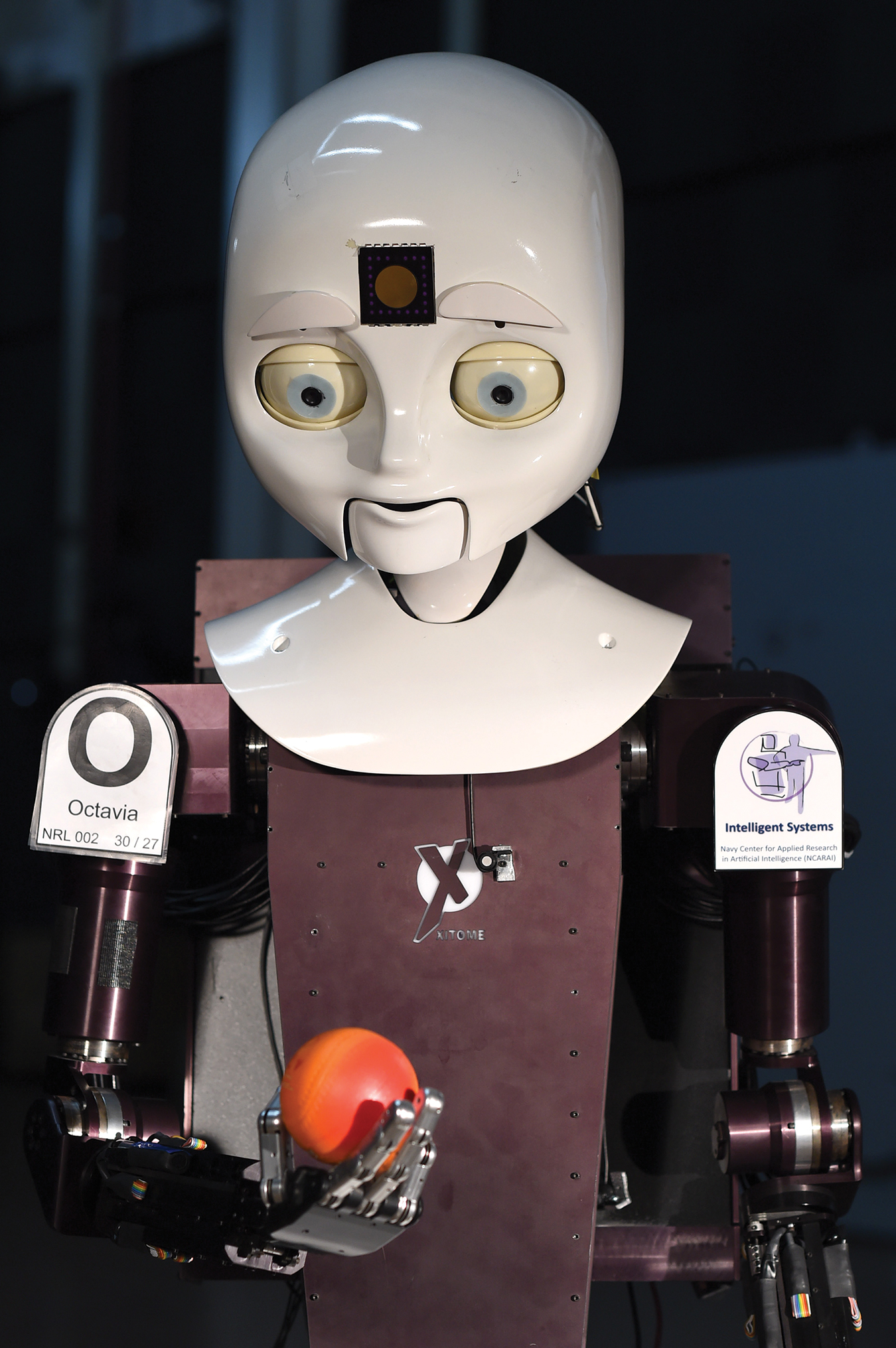 El día que los humanos empezaron a llorar a sus compañeros robots caídos en guerra