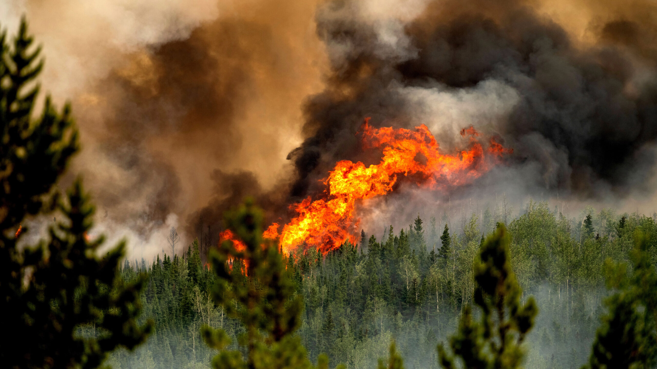 Los incendios de Canadá en 2023 emitieron más CO2 que los combustibles fósiles de la mayoría de países