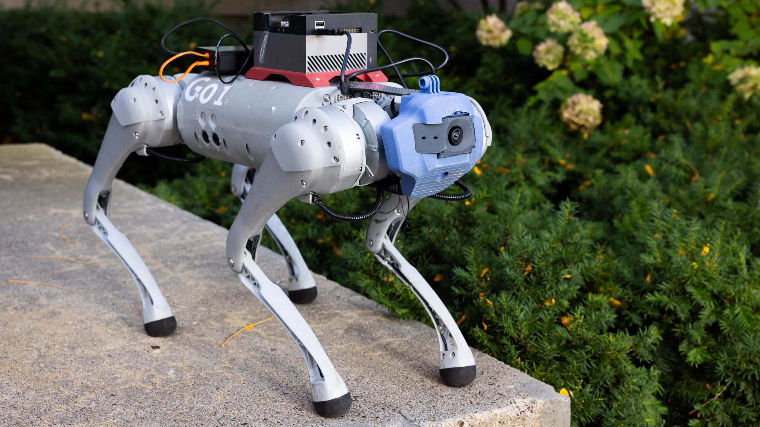 Estos robots aprendieron a superar obstáculos reales desde un entorno virtual gracias a la IA