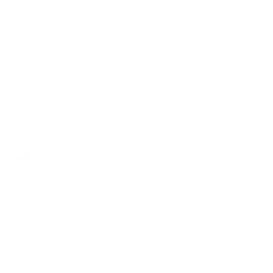 CSI SAFE CSI SAFE