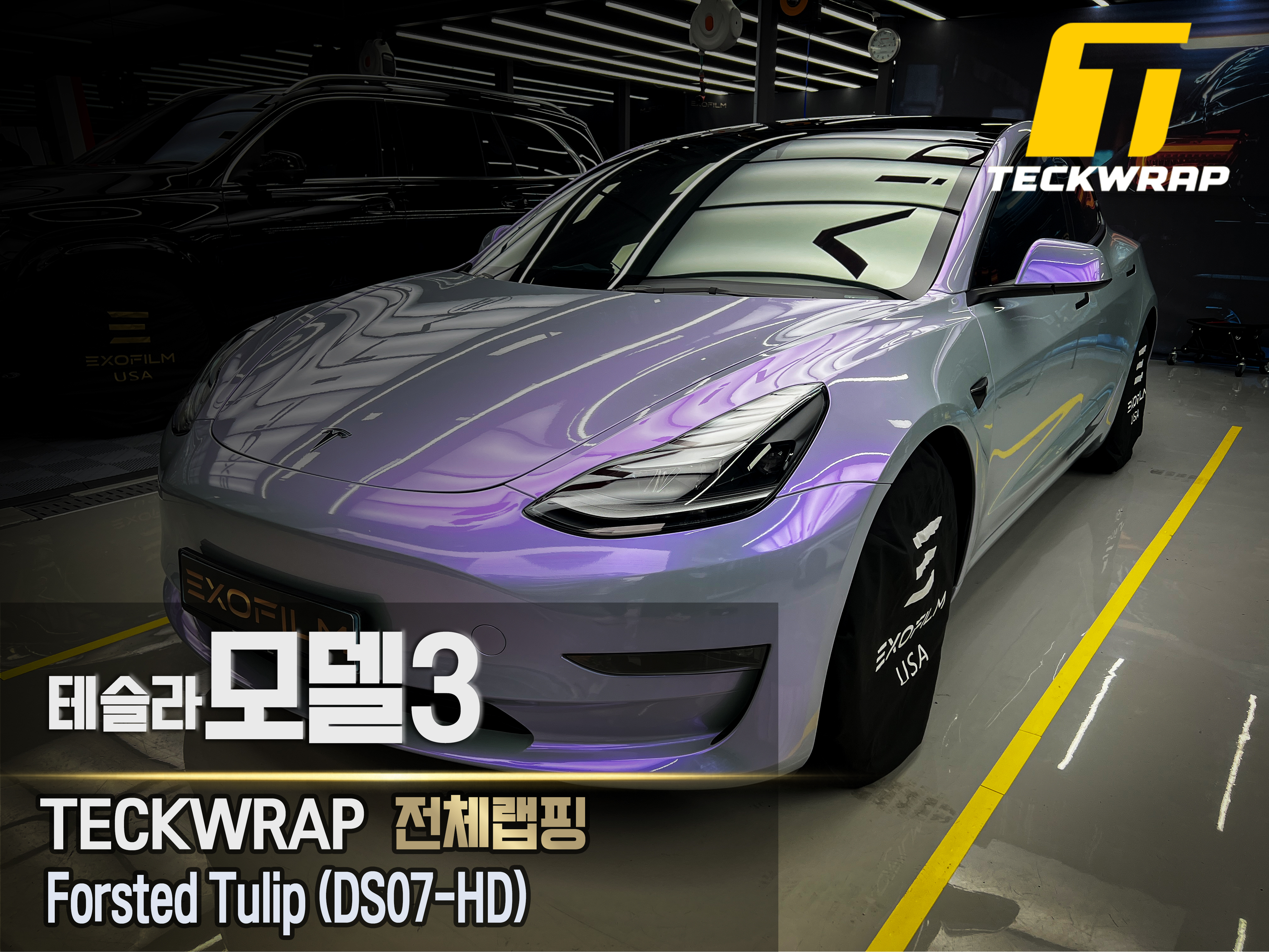 사진썸네일최총(TECKWRAP) - 전체랩핑 복사.jpg