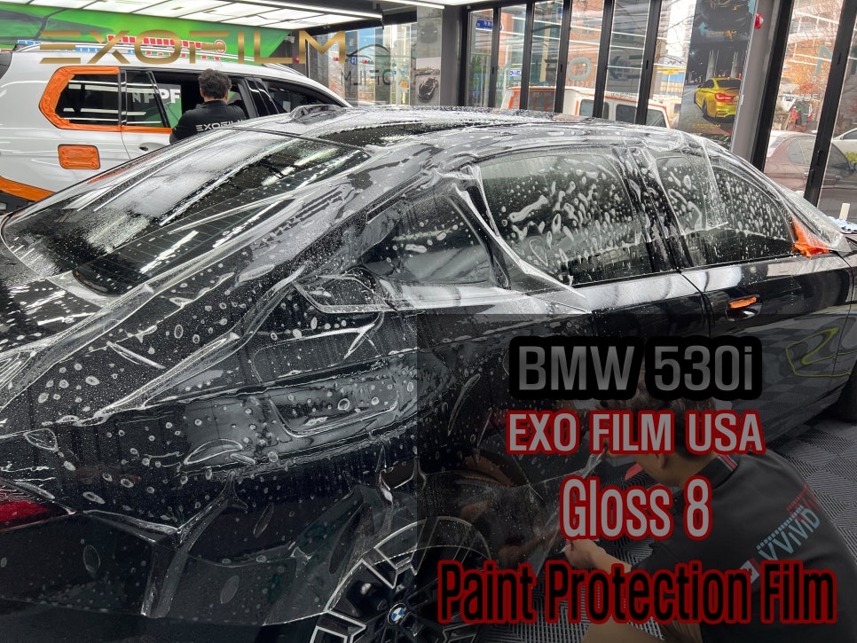 [BMW 530i]EXOFILM 투명전체PPF
