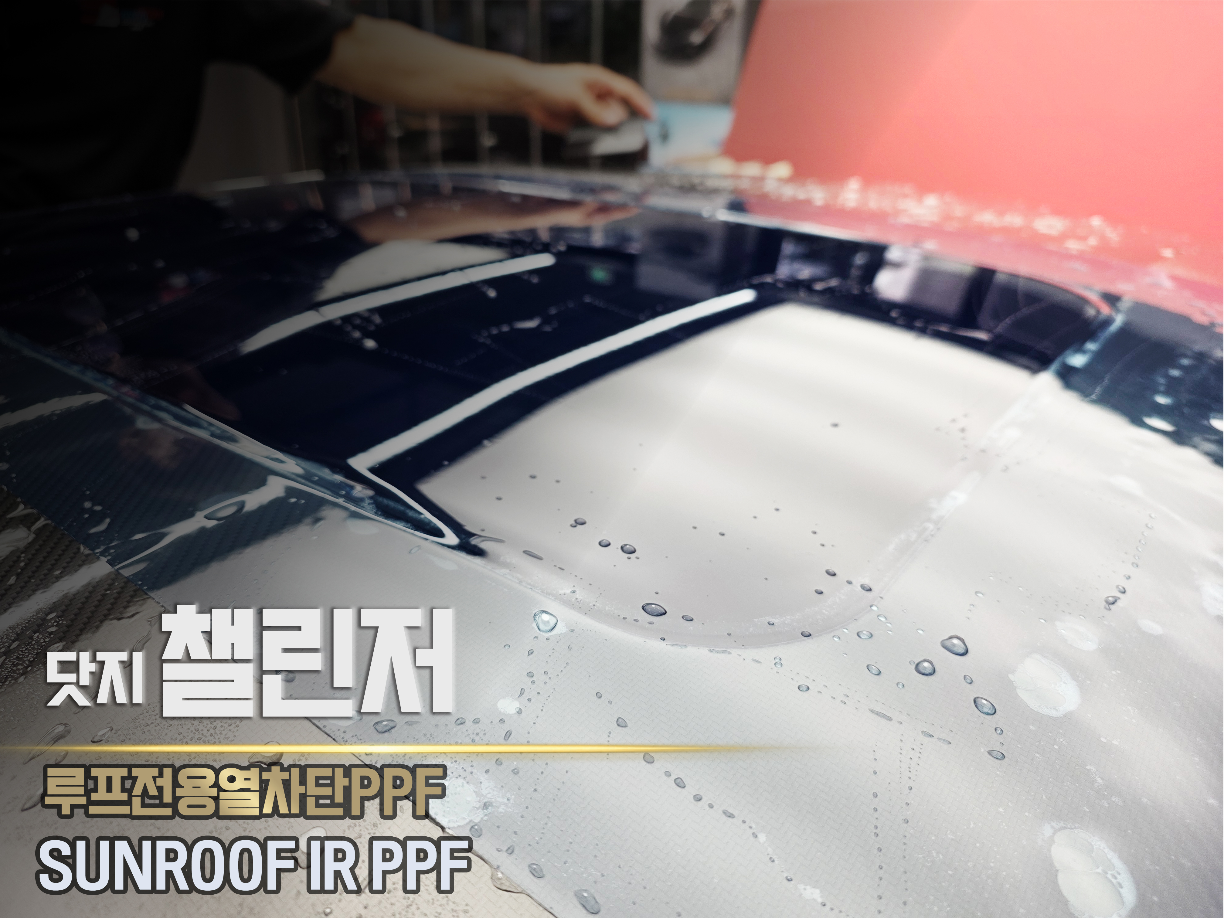 파노라마 열차단 PPF