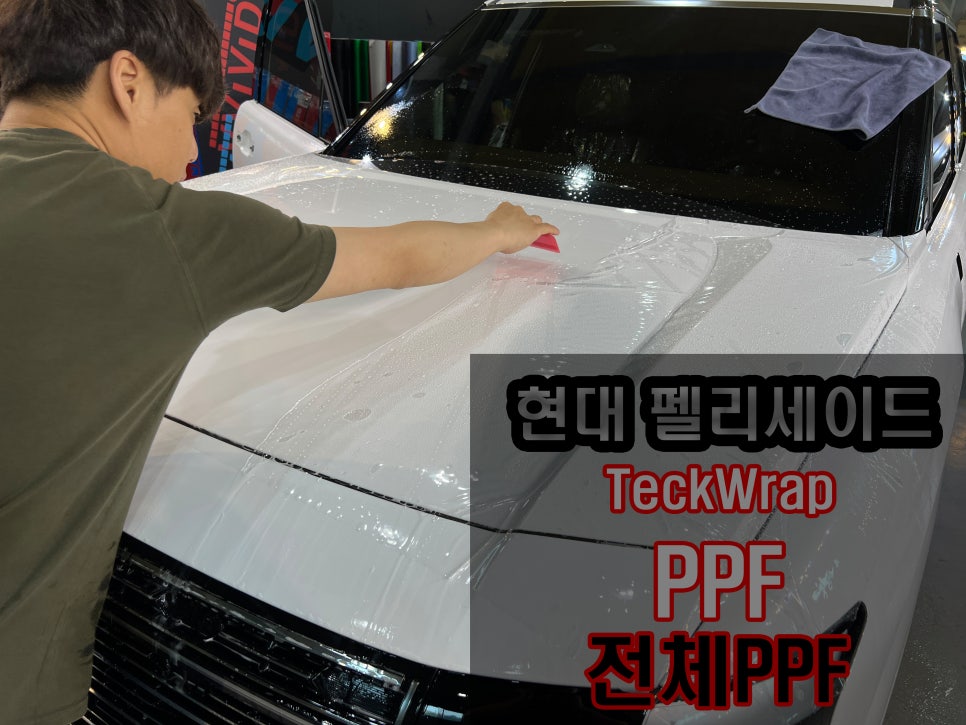 [현대 펠리세이드]택랩 투명 전체PPF