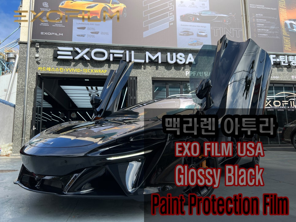 썸네일(EXOFILM)_PPF.jpg