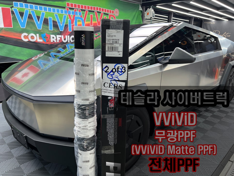 썸네일(VViViD).jpg