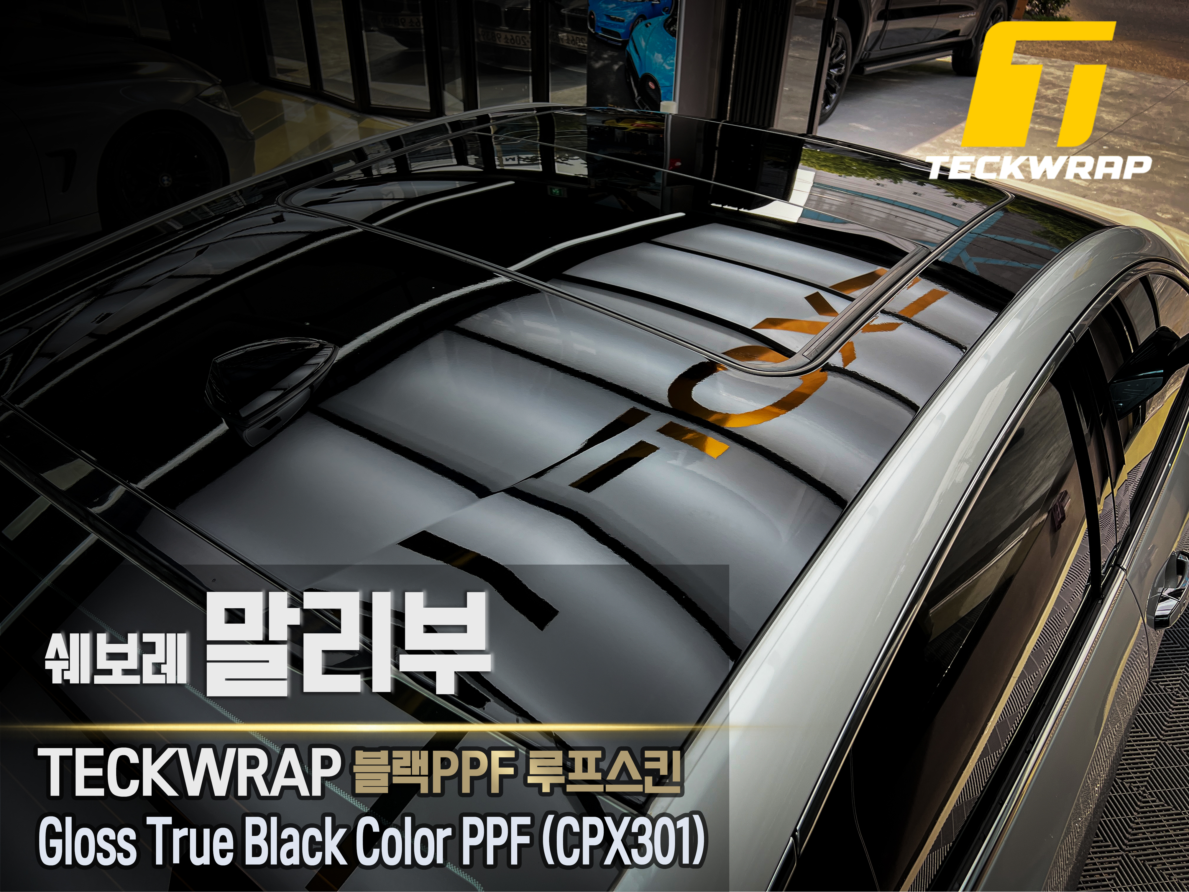 루프스킨 블랙 PPF