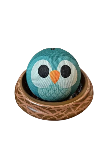 Amazon Echo Dot Kids 5th Generation