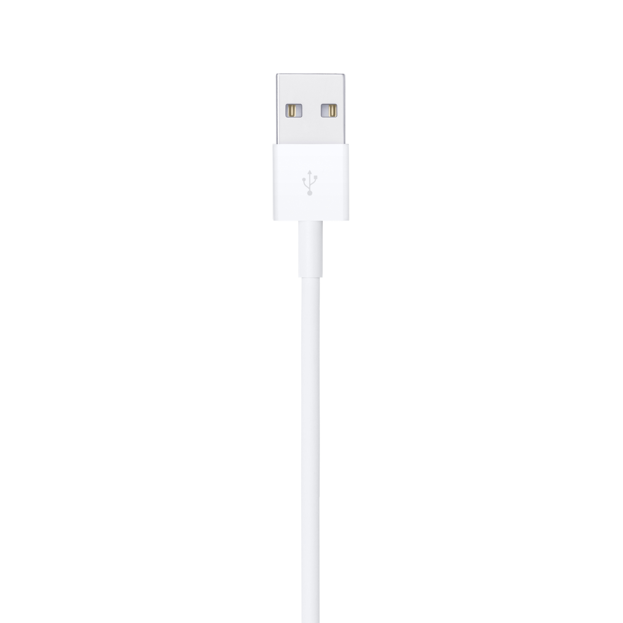 Cable Apple Original de USB a Lightning de 2 Metro