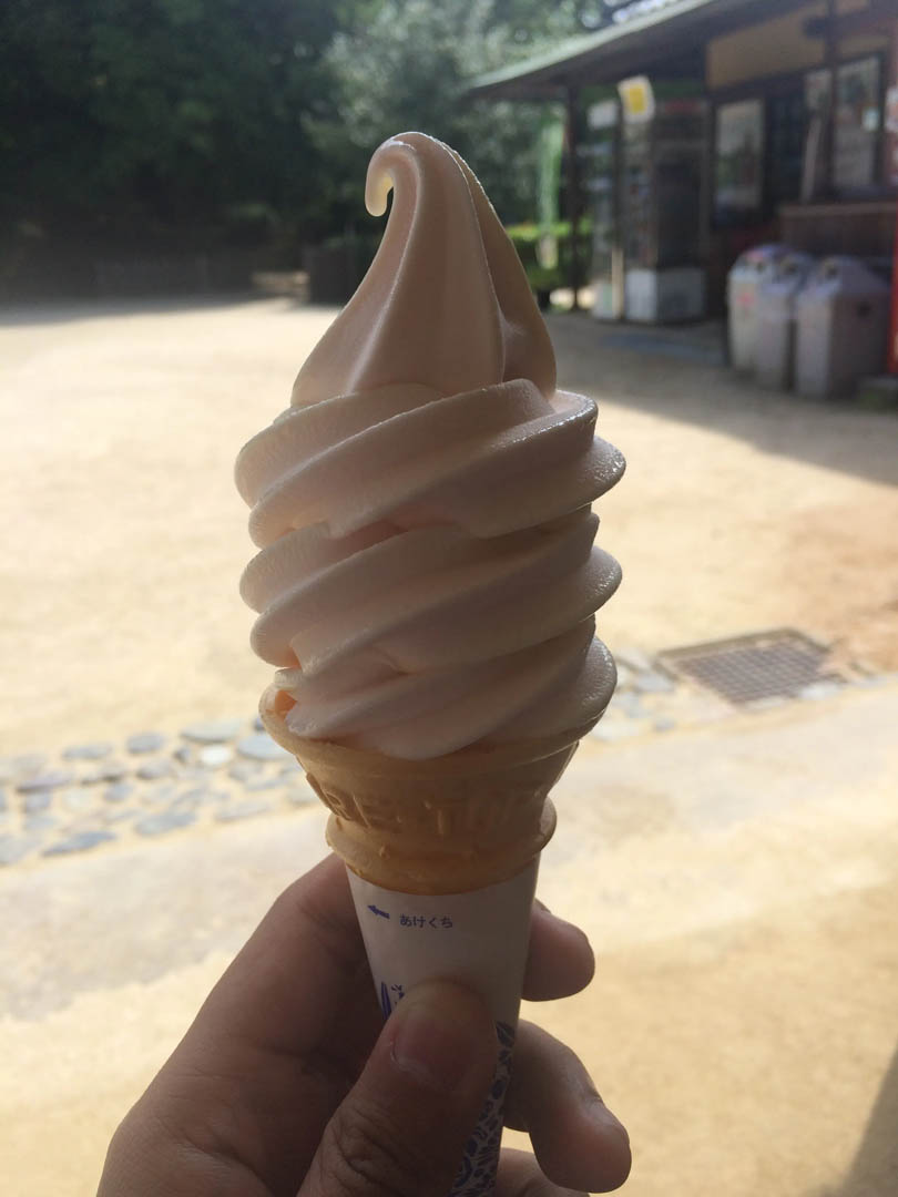 來到岡山當然不能不吃白桃冰淇淋!!