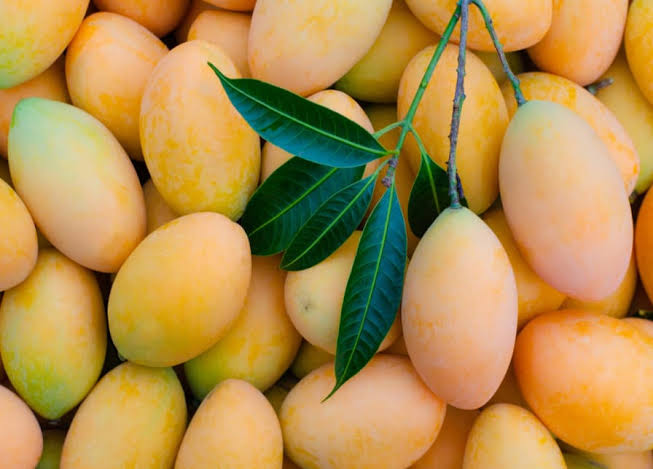 Small mangoes juice maker