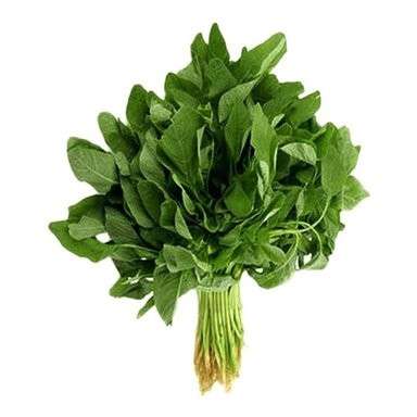 Doodo - Green Amaranth