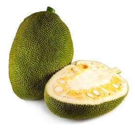 Jack Fruit-Large