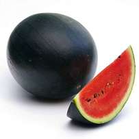 Water Melon-Dark Green:Small