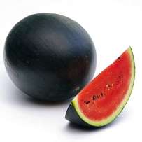 Watermelon-Dark Green: Medium