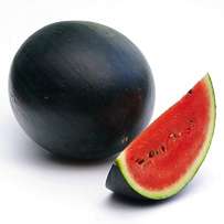 Watermelon-Dark Green: Large