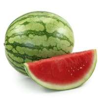 Watermelon-Striped: Large