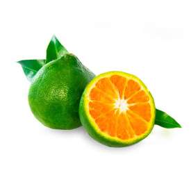 Tangerines - Local