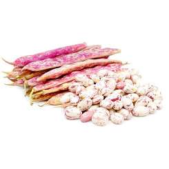 Beans Fresh - Masavu