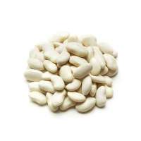 Beans Dried - White