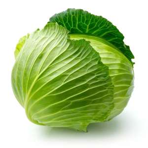 Cabbage: Medium