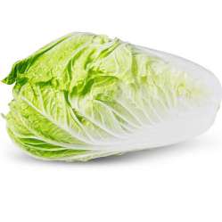 Cabbage - Chinese
