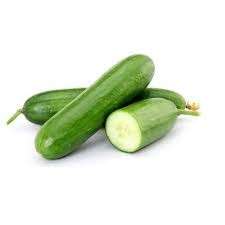 Cucumber